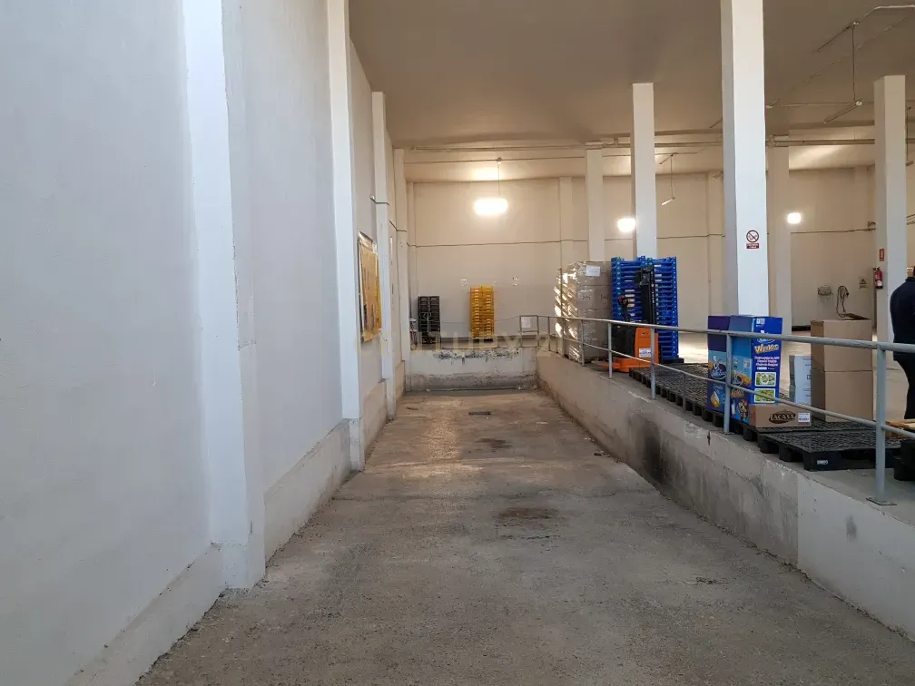 undefined - Image 4