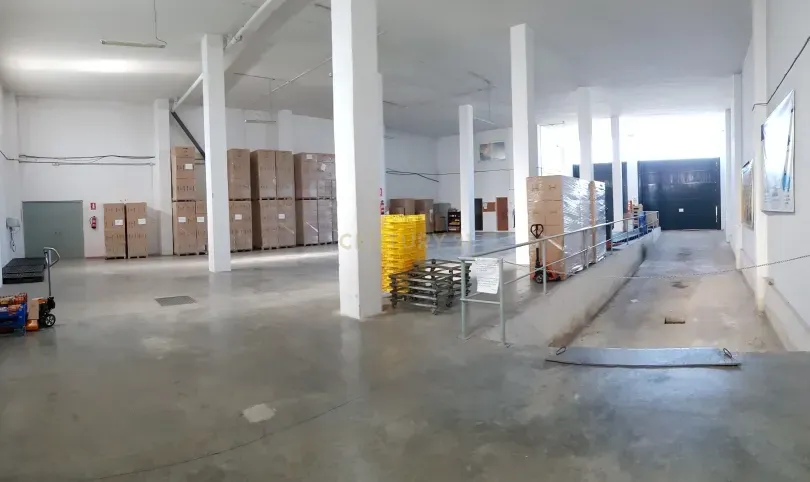 undefined - Image 7