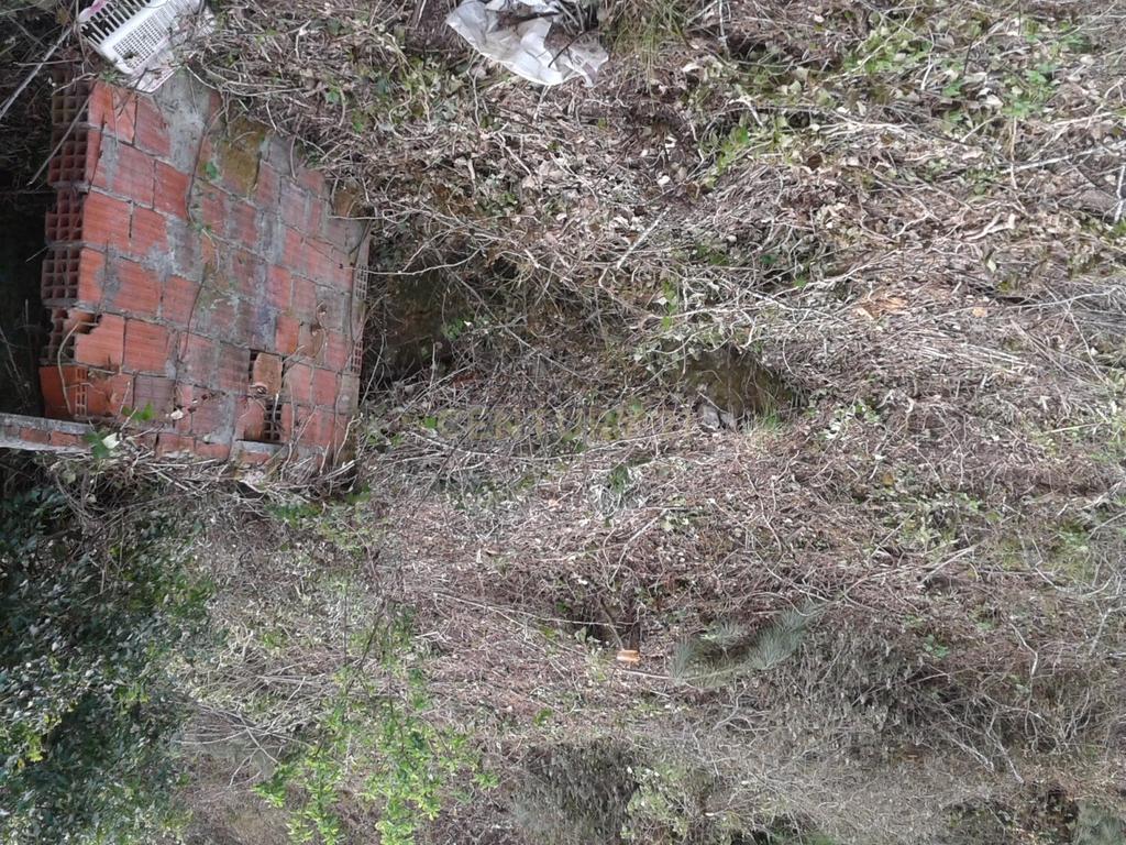Terreno para Construção - Image 4