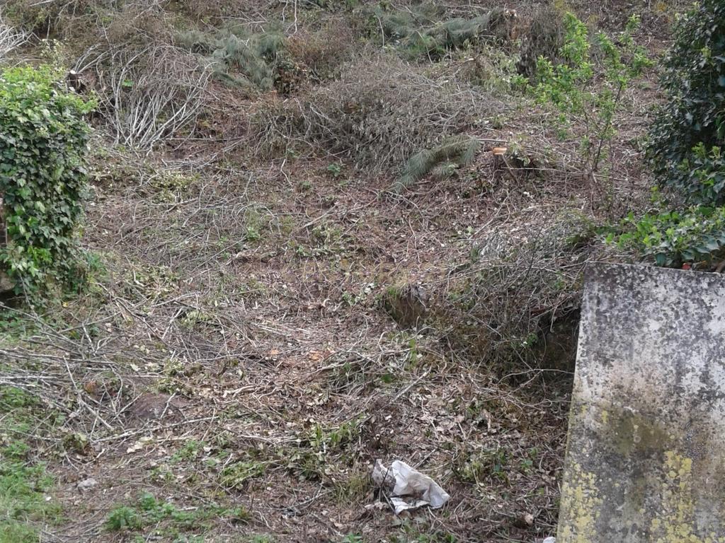 Terreno para Construção - Image 10