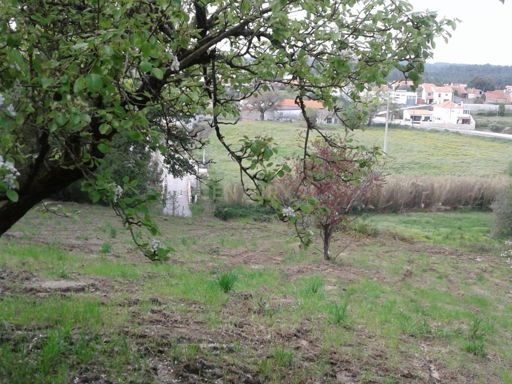 Terreno para Construção - Image 8