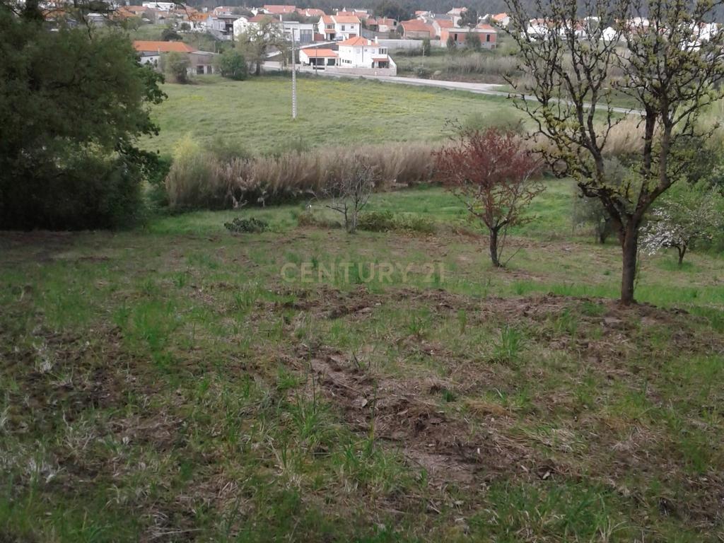 Terreno para Construção - Image 7