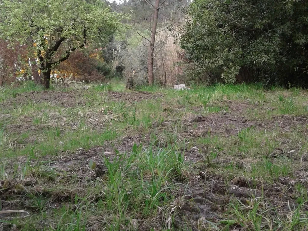 Terreno para Construção - Image 5