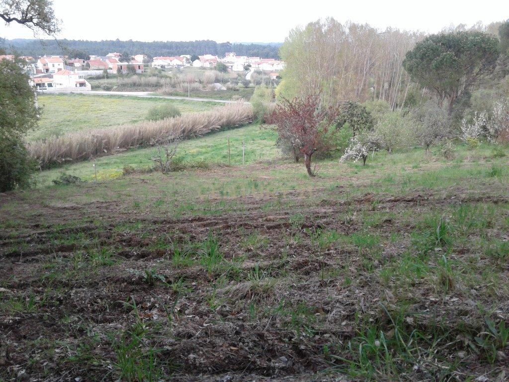 Vista 2