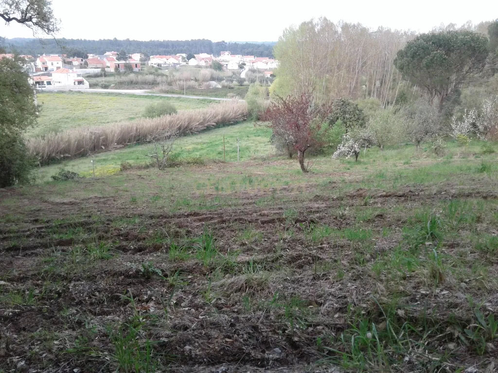 Terreno para Construção - Image 2