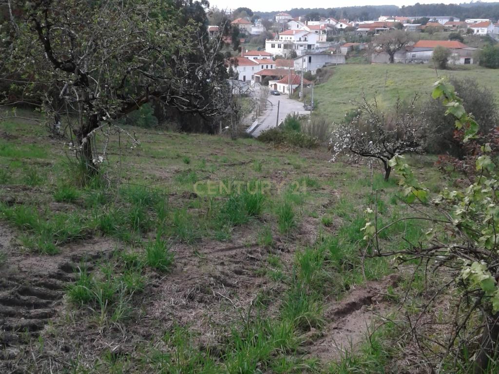Terreno para Construção - Image 9