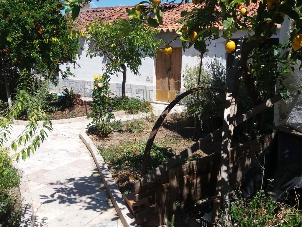 Moradia Térrea na Amareleja - Image 26