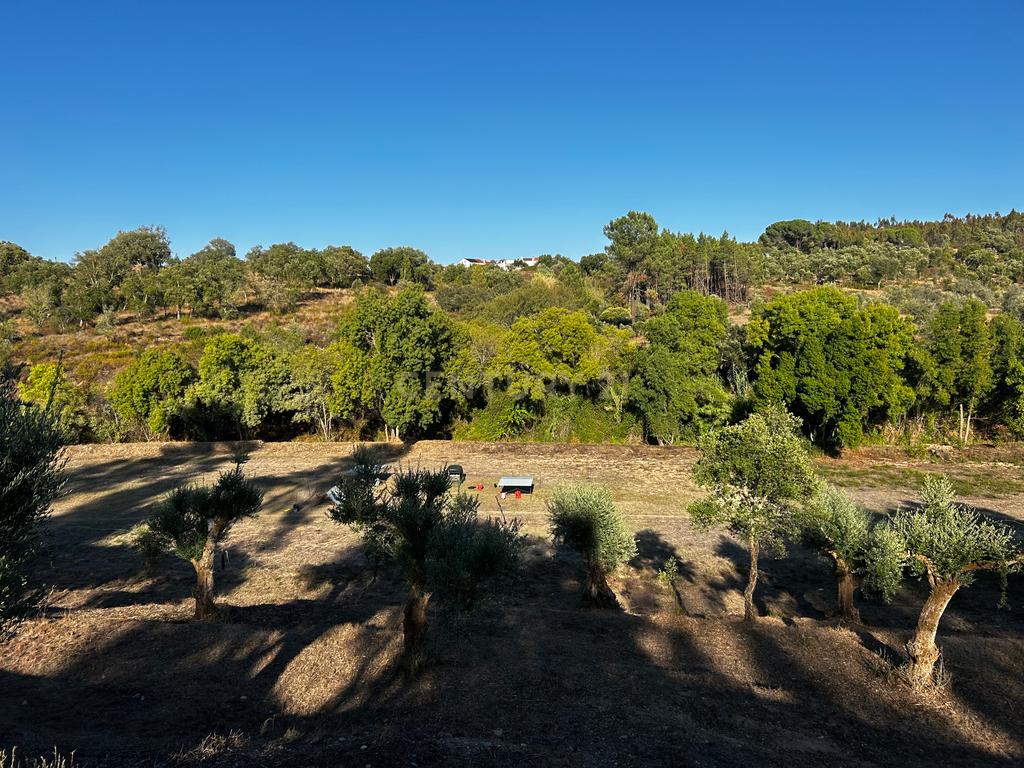 Quinta c/2,5 hectares , casa pré fabricada e ruína para reconstrução. - Image 16