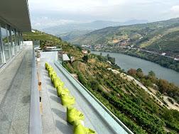 Hotel DD uma  "varanda" para o rio Douro, integrado numa quinta no coração do Alto Douro Vinhateiro, perto do Peso da Régua, Portugal - Image 67