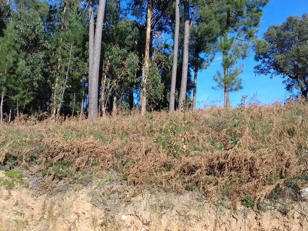 Terreno  construção com 899m2 em Alheira  - Barcelos - Image 13