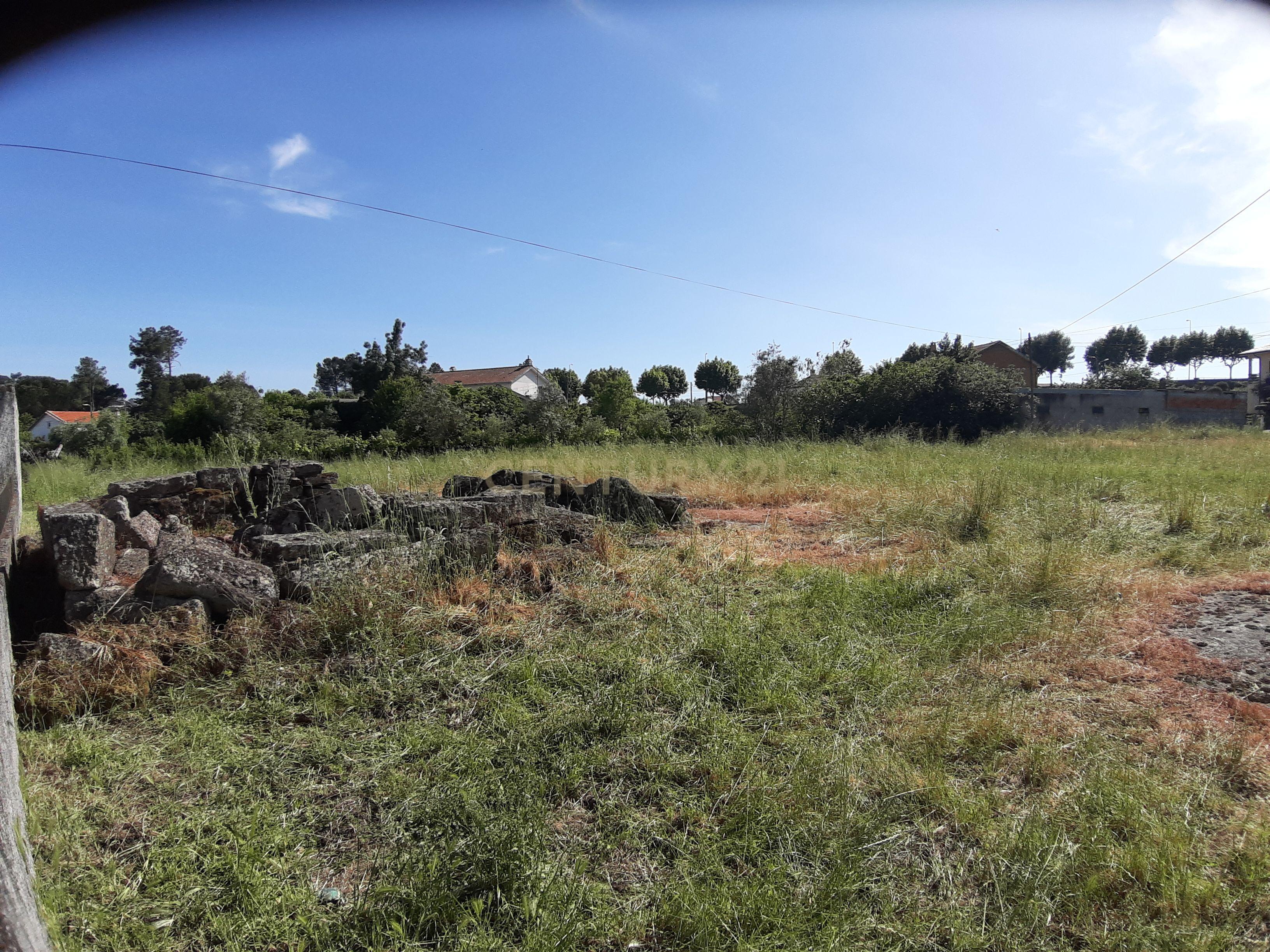 Terreno em Nelas