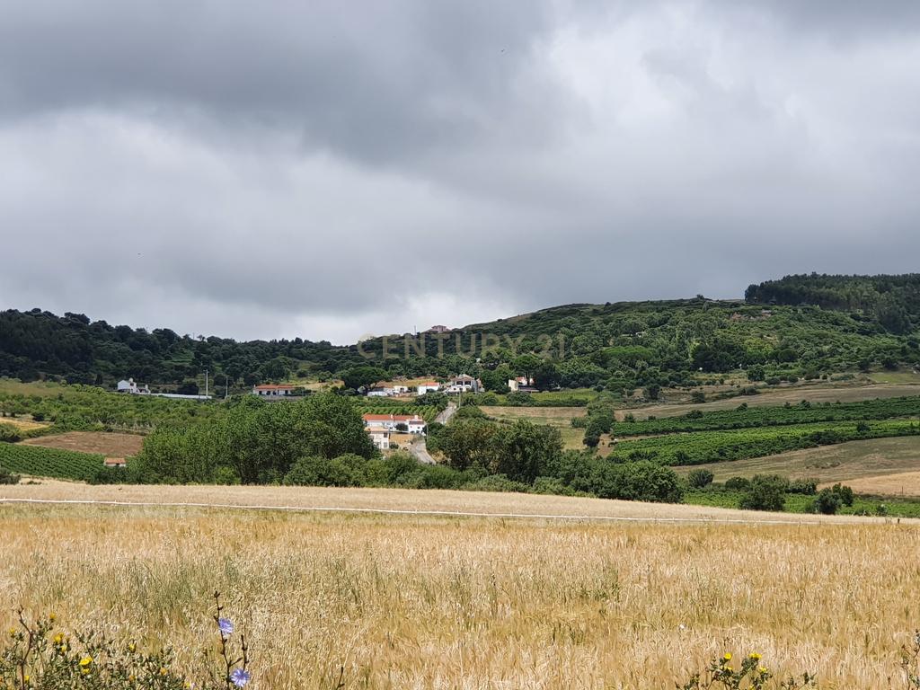 Quintinha com 2,5 hectares em Arruda dos Vinhos - Image 1