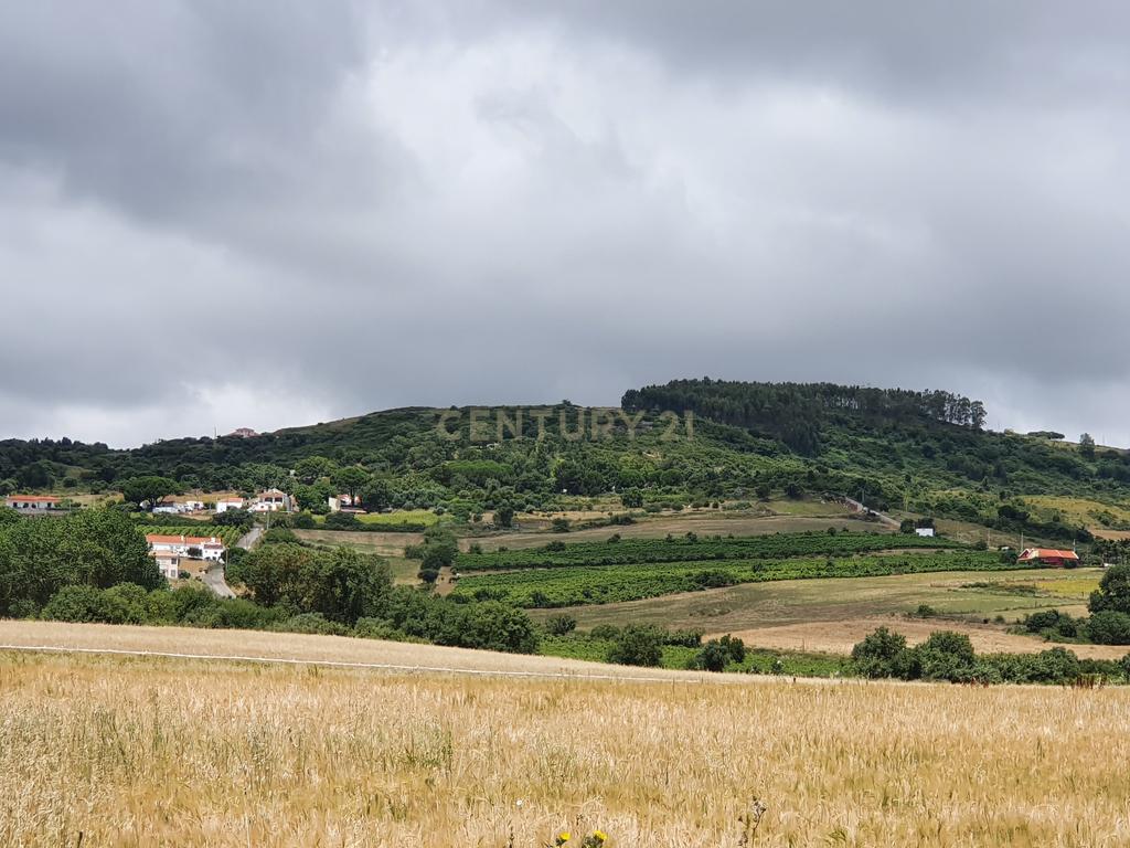 Quintinha com 2,5 hectares em Arruda dos Vinhos - Image 4