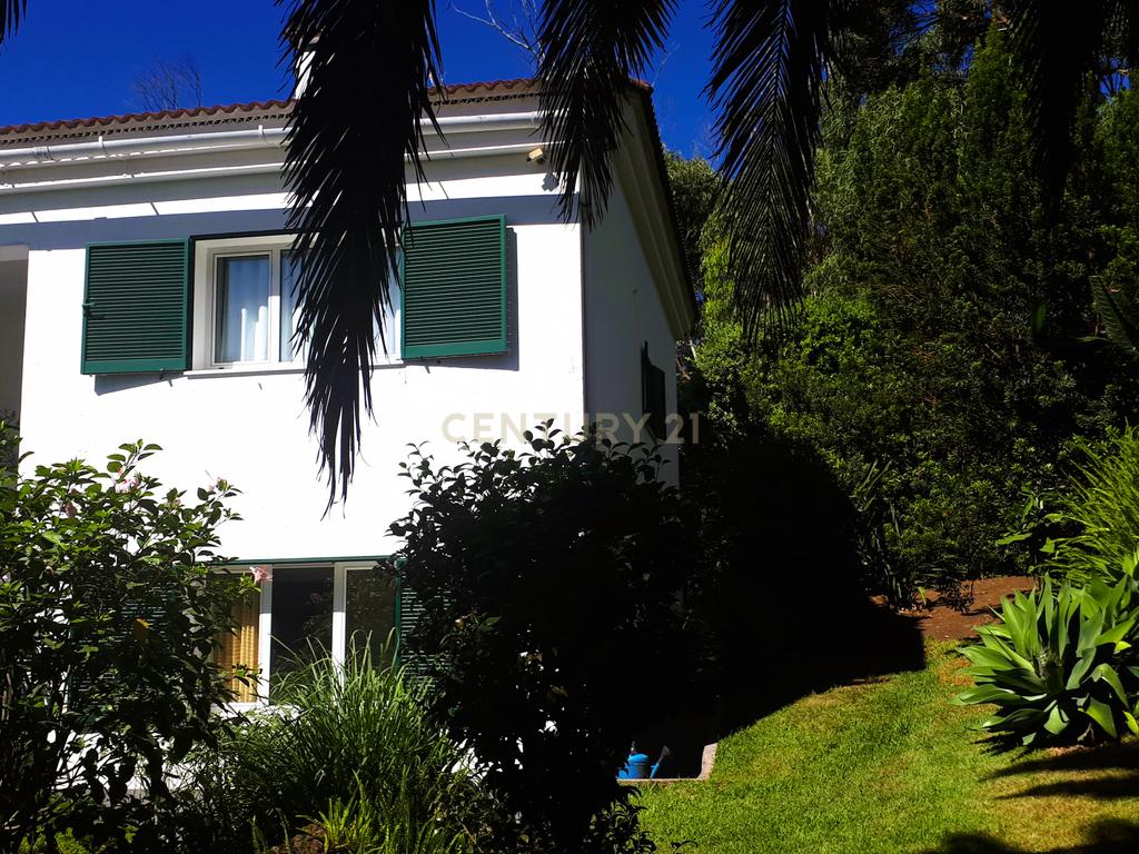 Propriedade Exclusiva na Caloura, São Miguel – Localização Privilegiada com Licença AL - Image 30