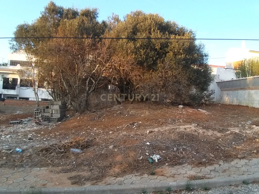 Magnífico terreno urbano, com uma área total de 309m² - Image 5