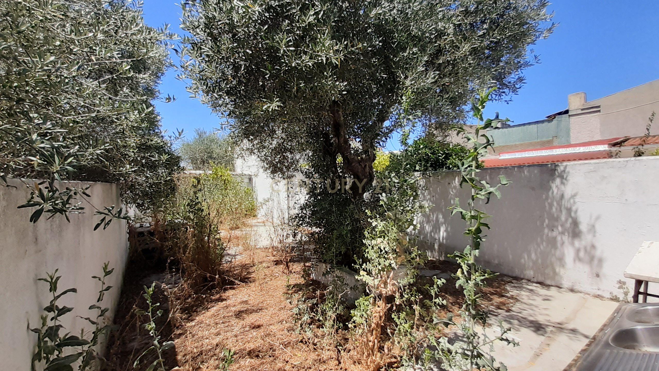 Moradia em São Vicente, Elvas - Image 12