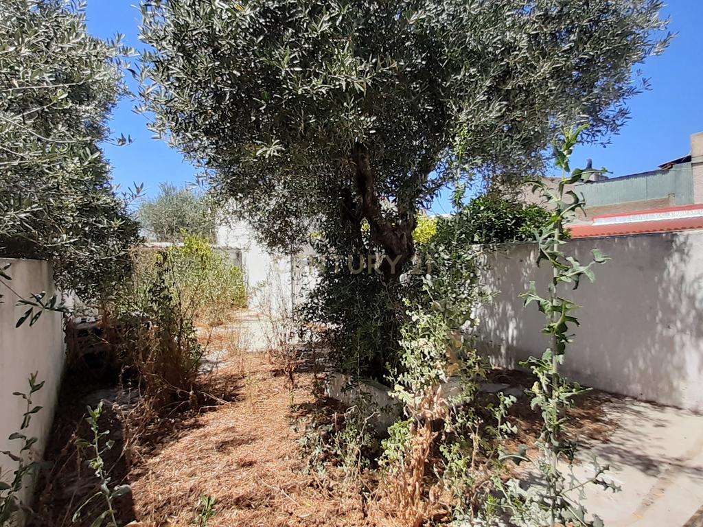 Moradia em São Vicente, Elvas - Image 12