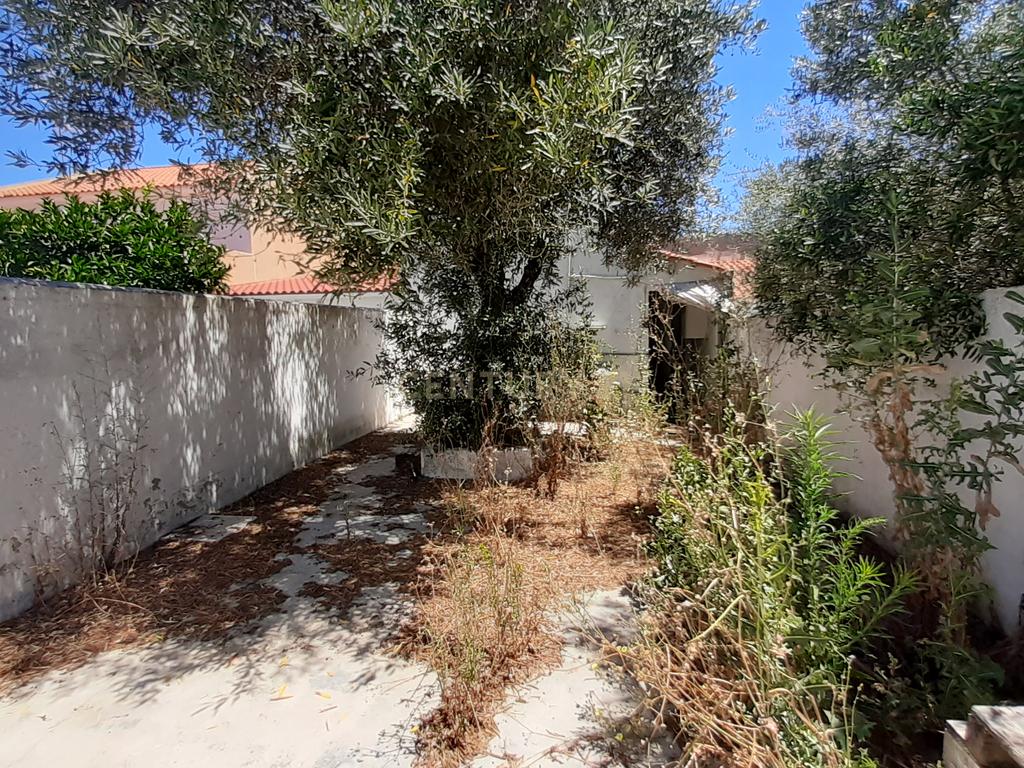 Moradia em São Vicente, Elvas - Image 14