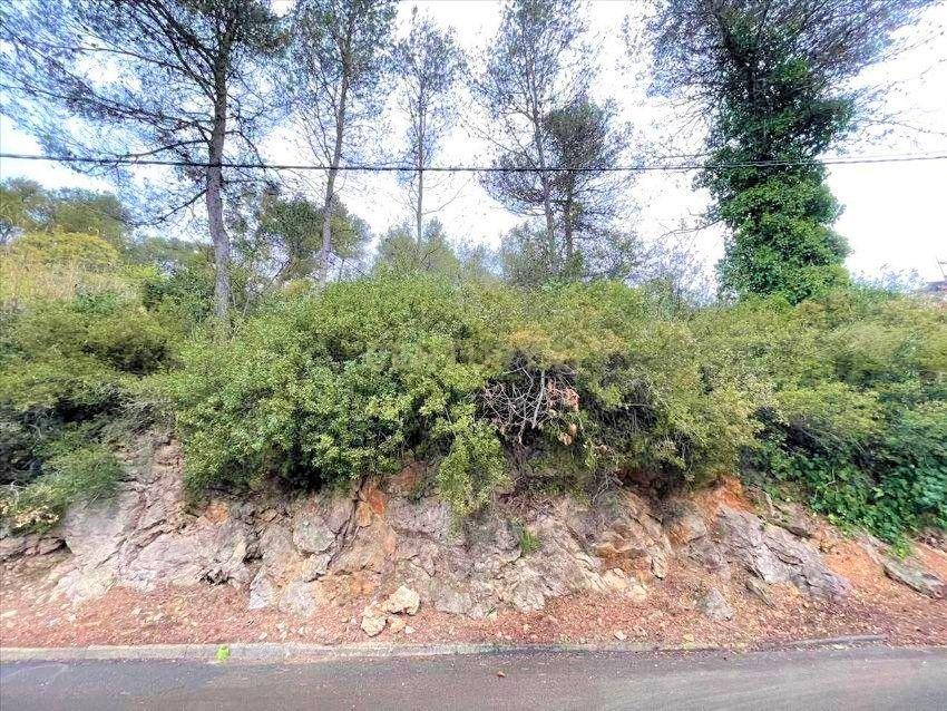 Terreno - Image 3
