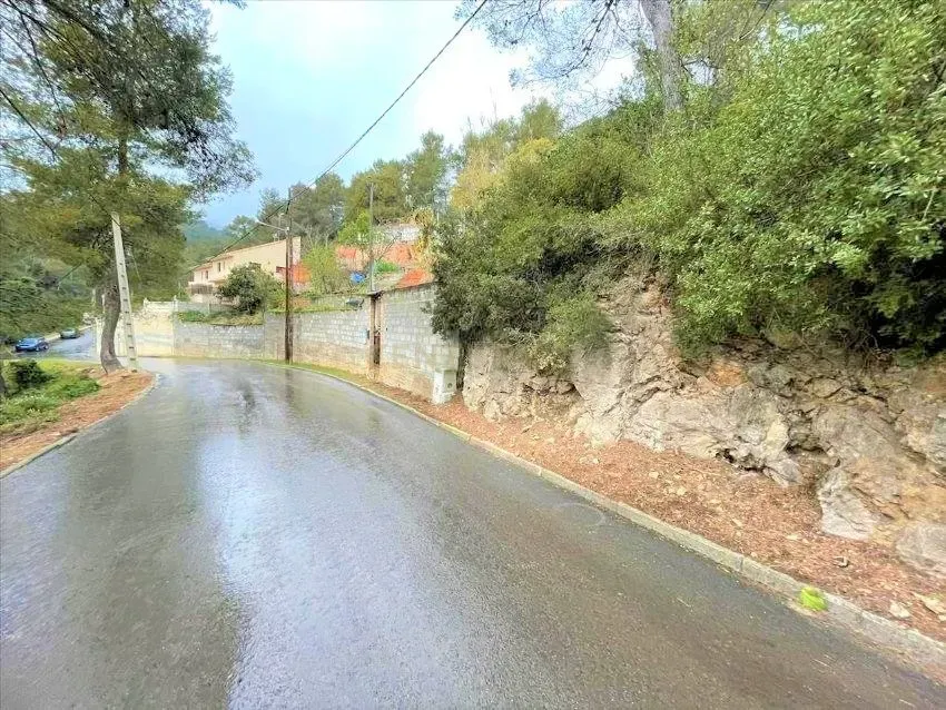 Terreno - Image 2