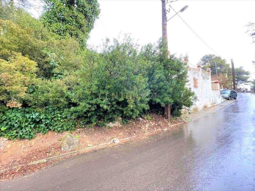 Terreno - Image 7