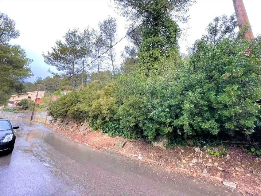 Terreno - Image 6