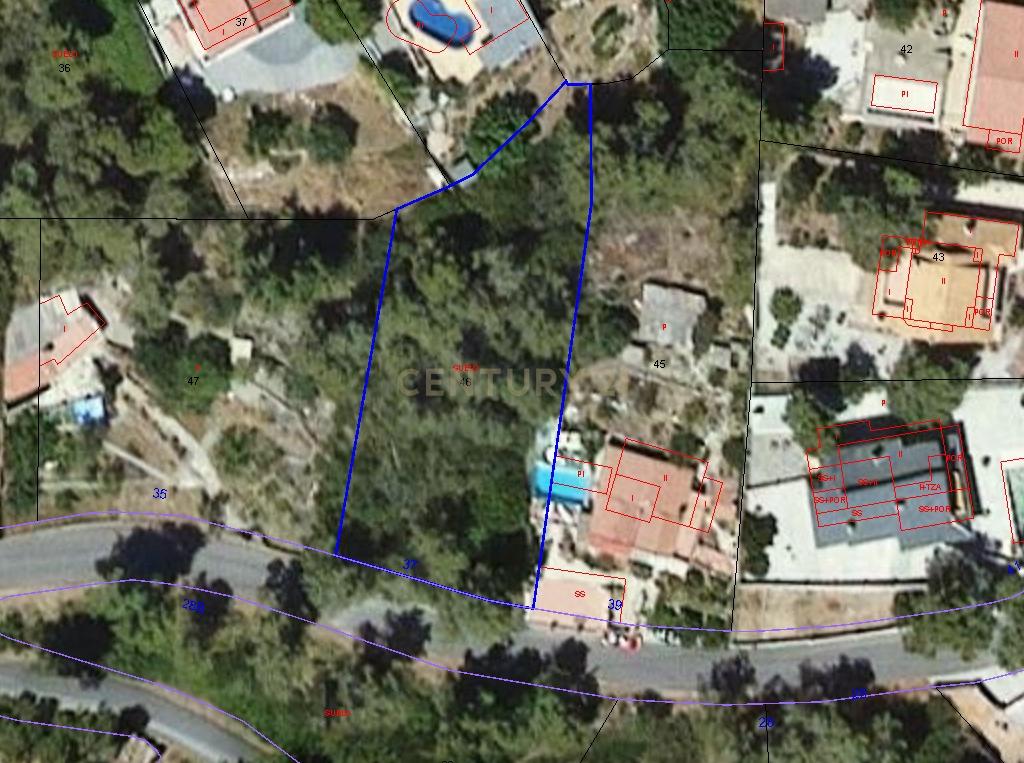 Terreno - Image 4