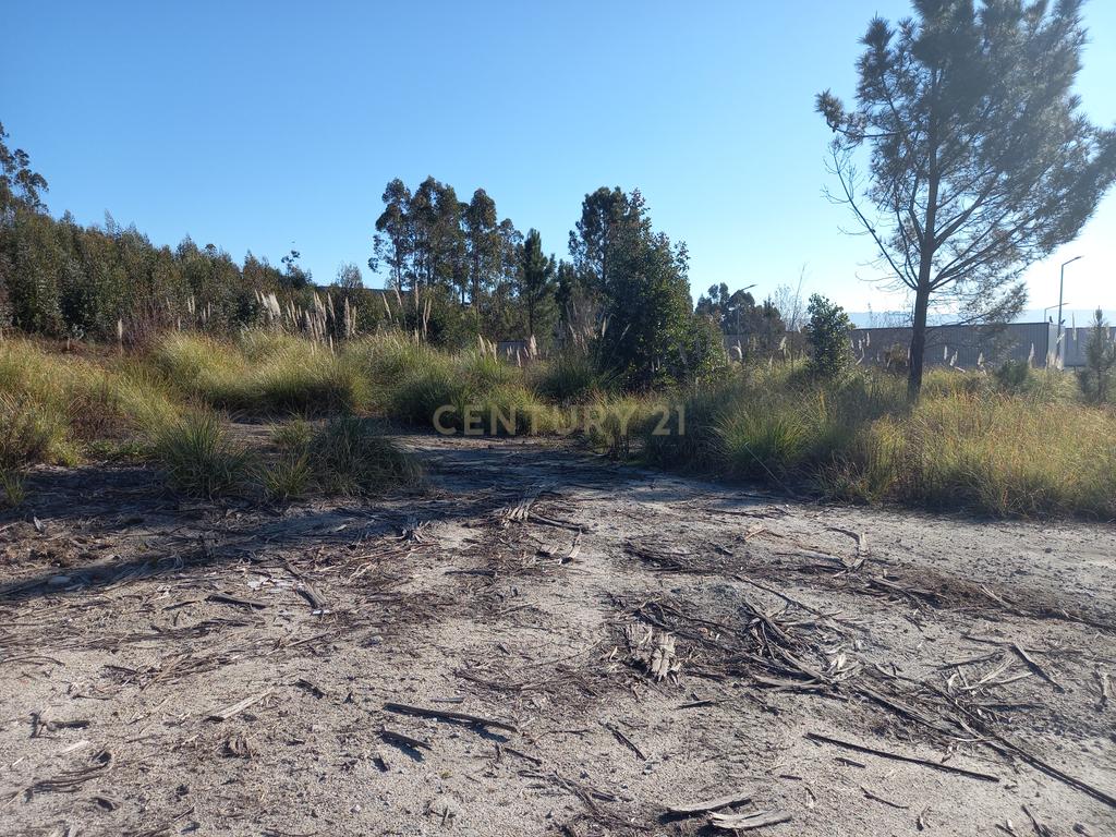 Terreno de Construção em Vila Nova de Farmalicão - Image 10
