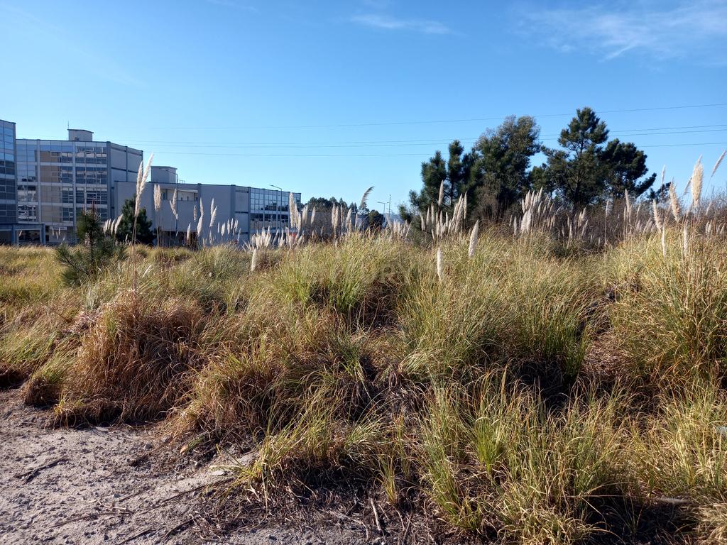 Terreno de Construção em Vila Nova de Farmalicão - Image 12