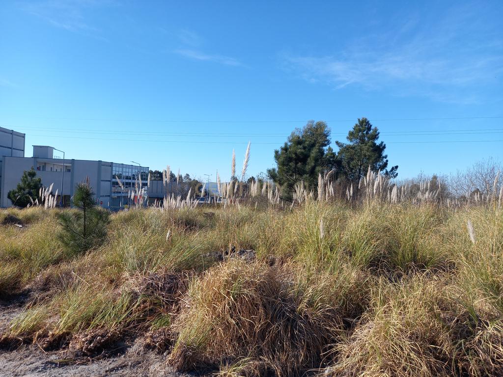 Terreno de Construção em Vila Nova de Farmalicão - Image 13