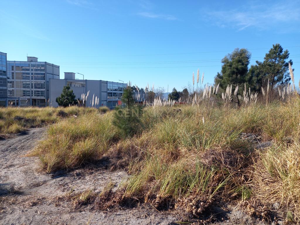 Terreno de Construção em Vila Nova de Farmalicão - Image 14