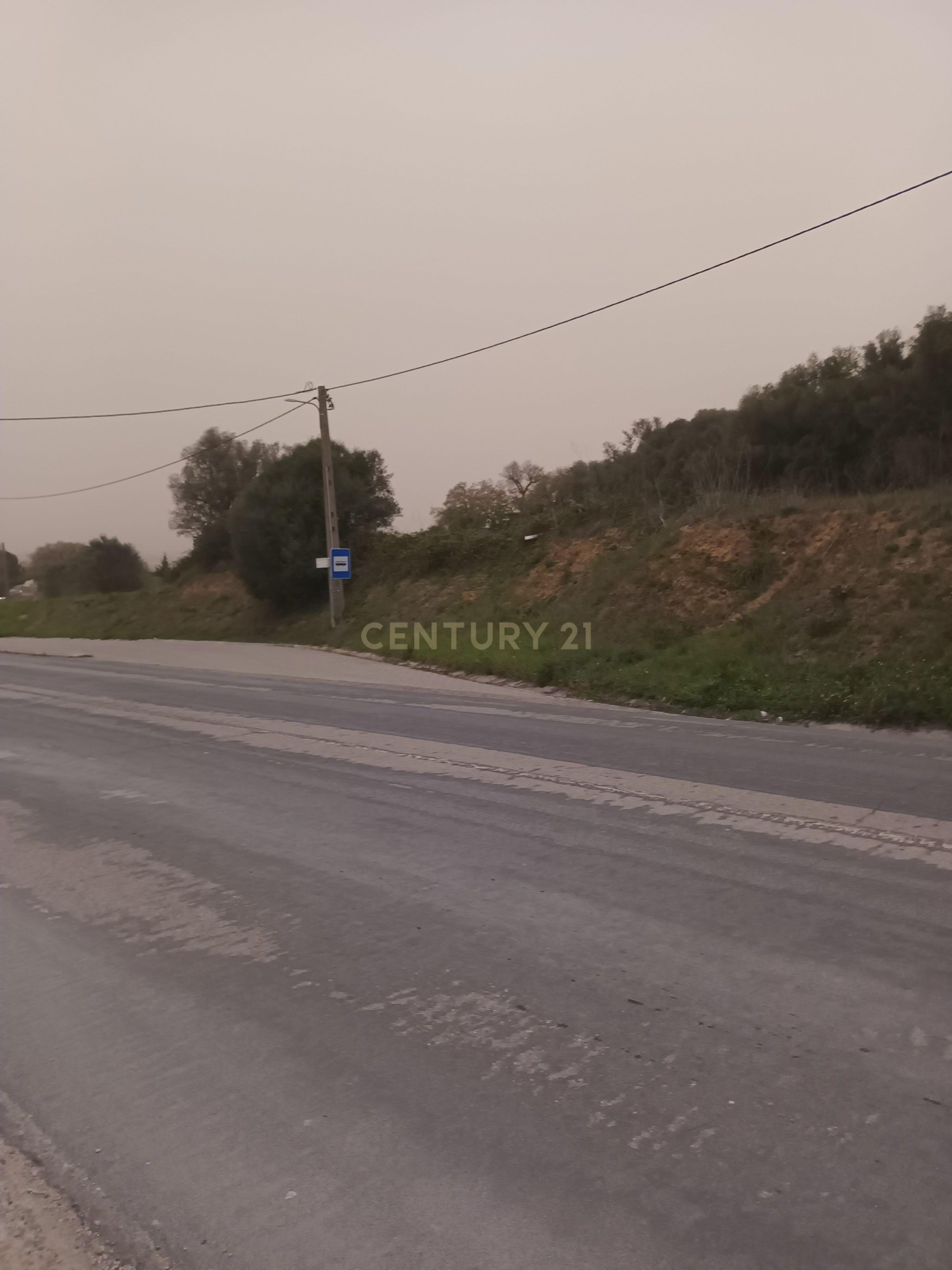 Terreno Rústico com Vista Deslumbrante sobre a Serra da Arrábida — Quinta do Anjo, Palmela - Image 6