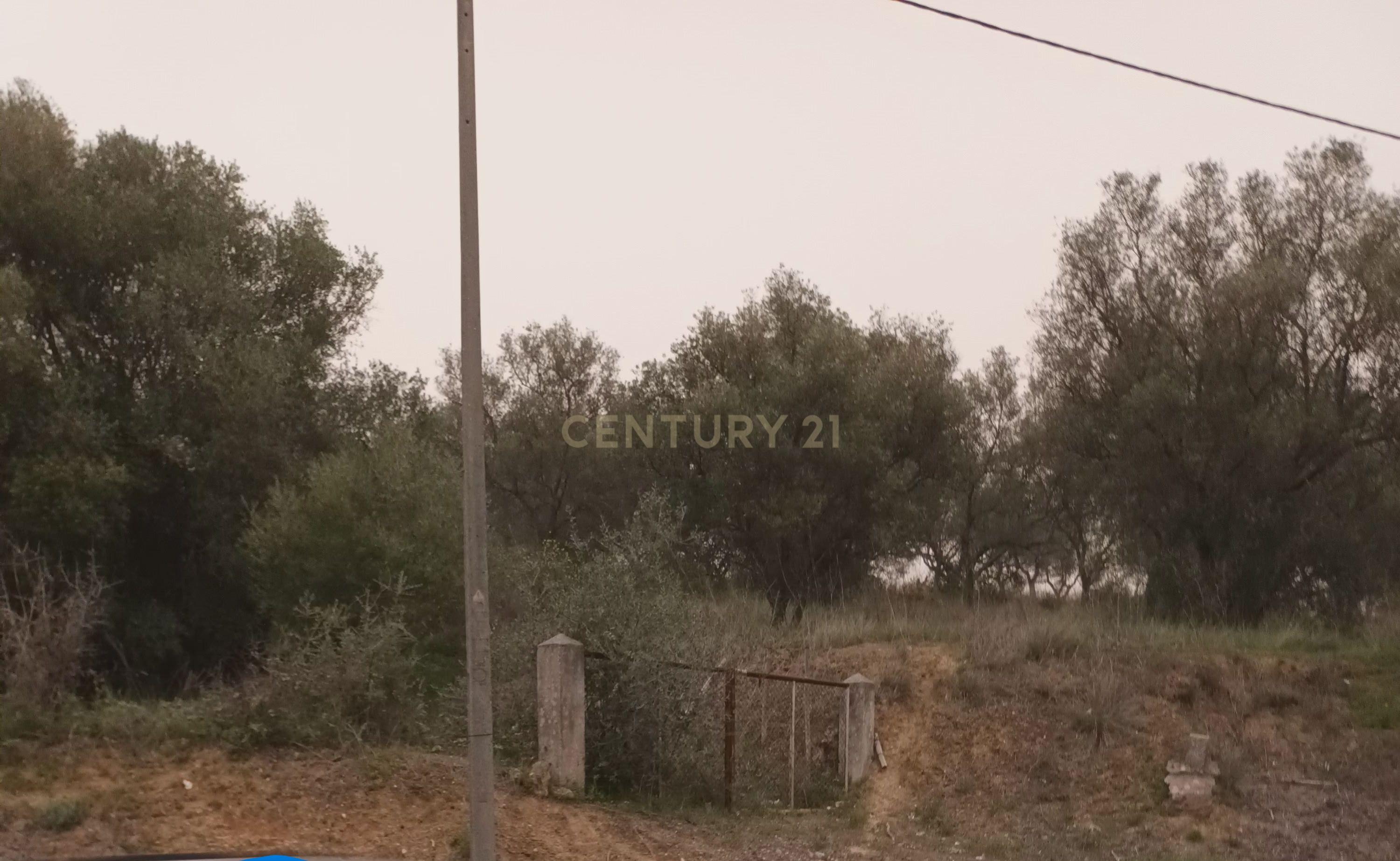 Terreno Rústico com Vista Deslumbrante sobre a Serra da Arrábida — Quinta do Anjo, Palmela - Image 7