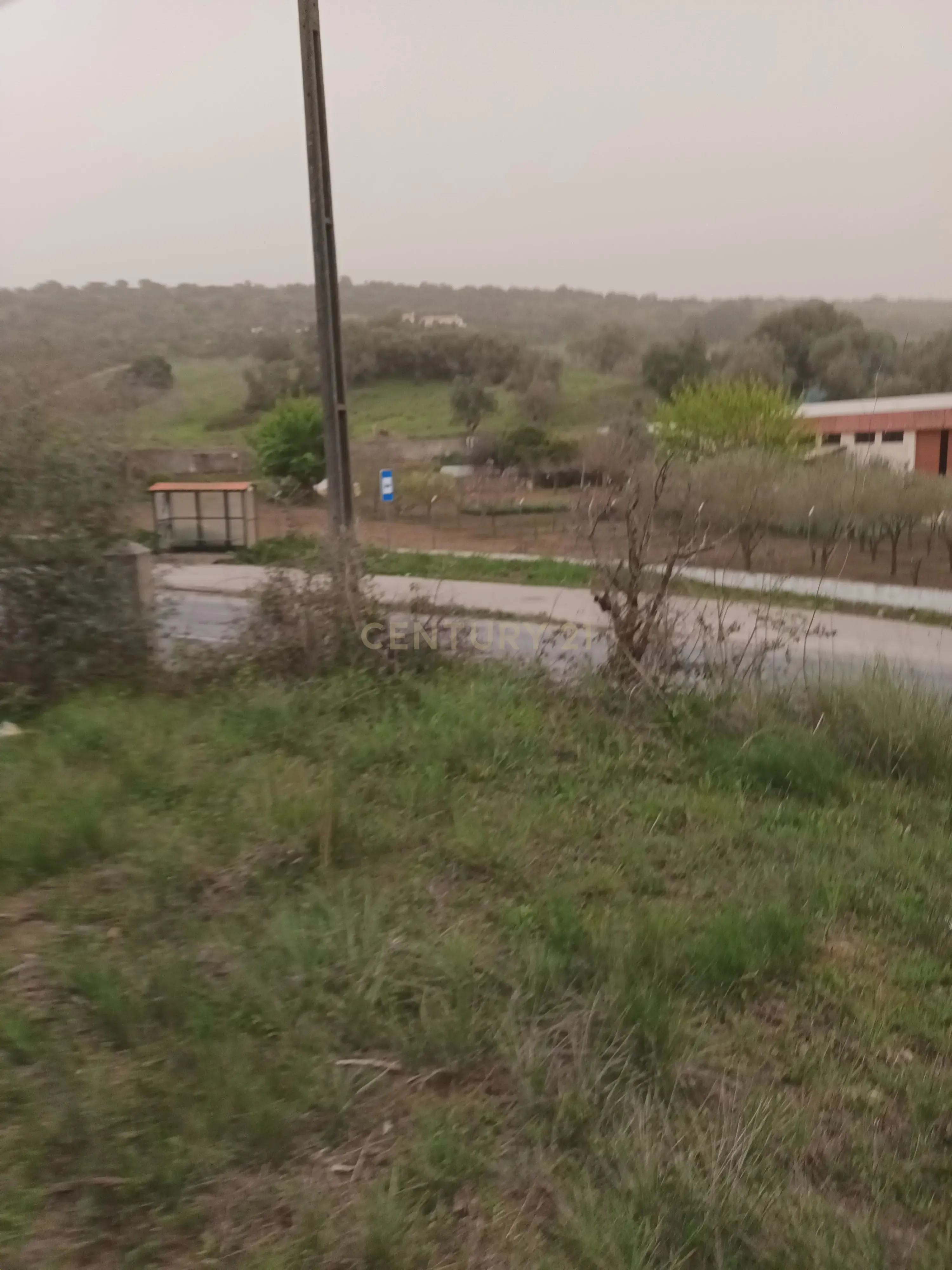 Terreno Rústico com Vista Deslumbrante sobre a Serra da Arrábida — Quinta do Anjo, Palmela - Image 14