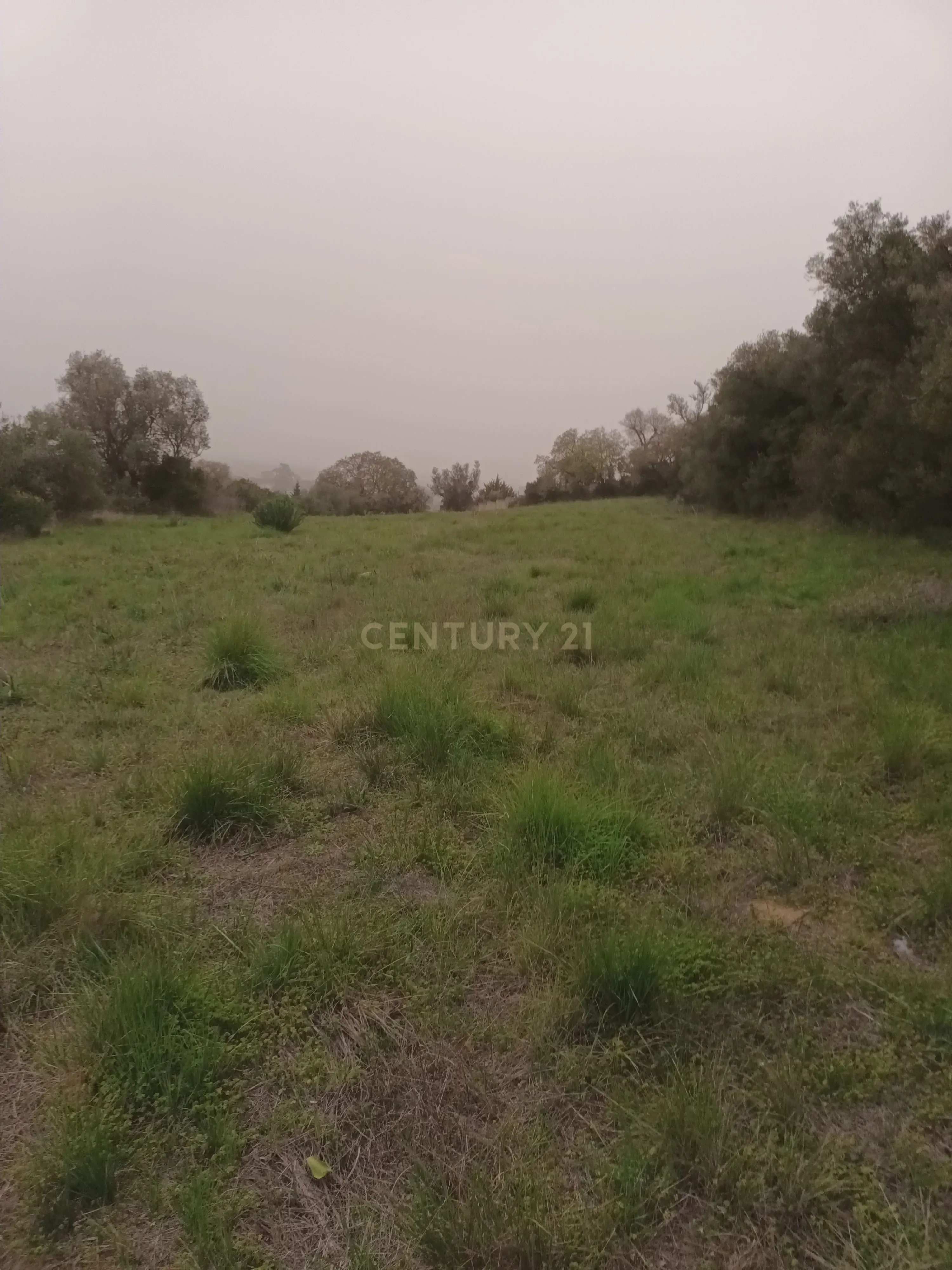 Terreno Rústico com Vista Deslumbrante sobre a Serra da Arrábida — Quinta do Anjo, Palmela - Image 4