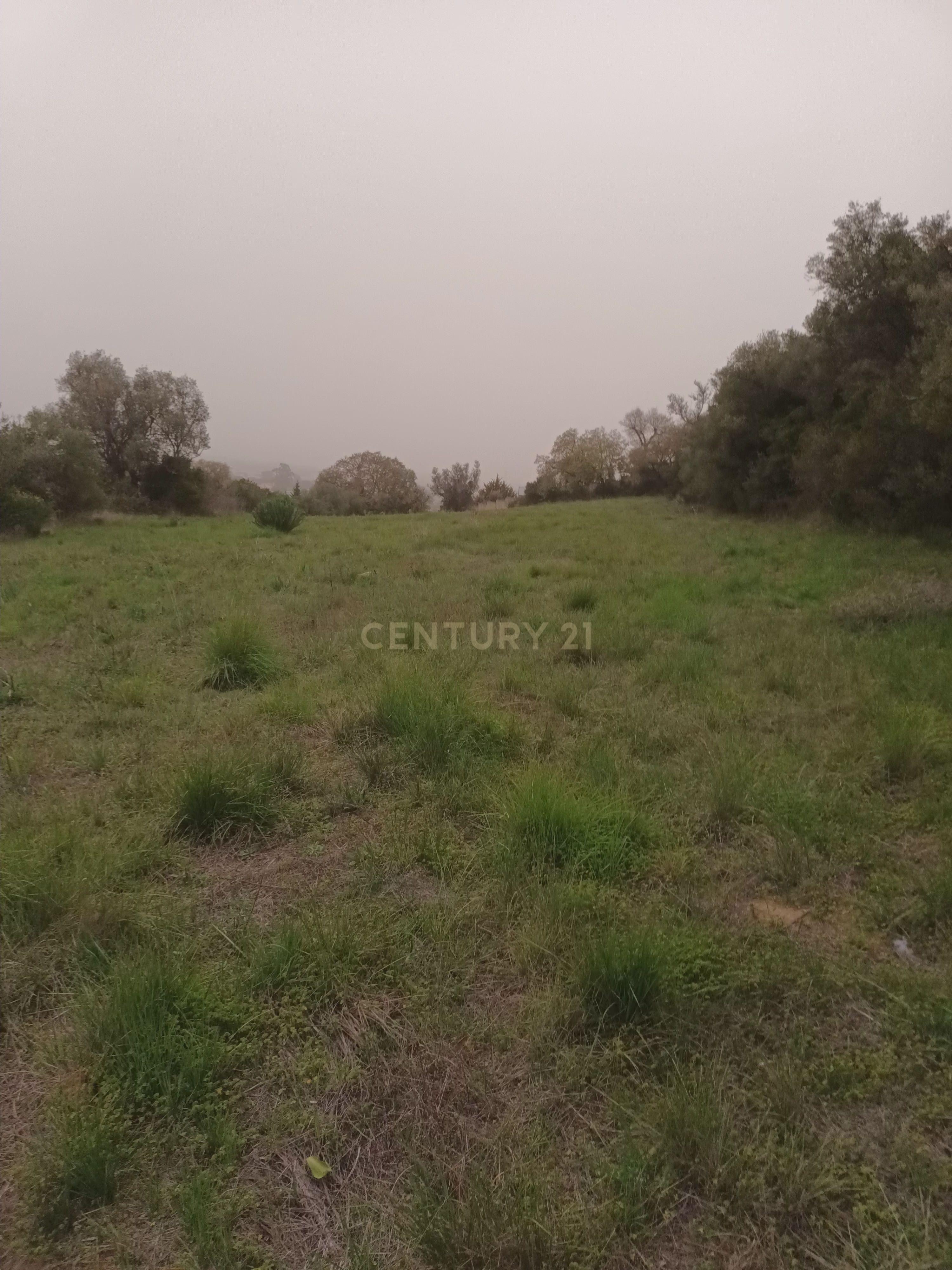 Terreno Rústico com Vista Deslumbrante sobre a Serra da Arrábida — Quinta do Anjo, Palmela - Image 10