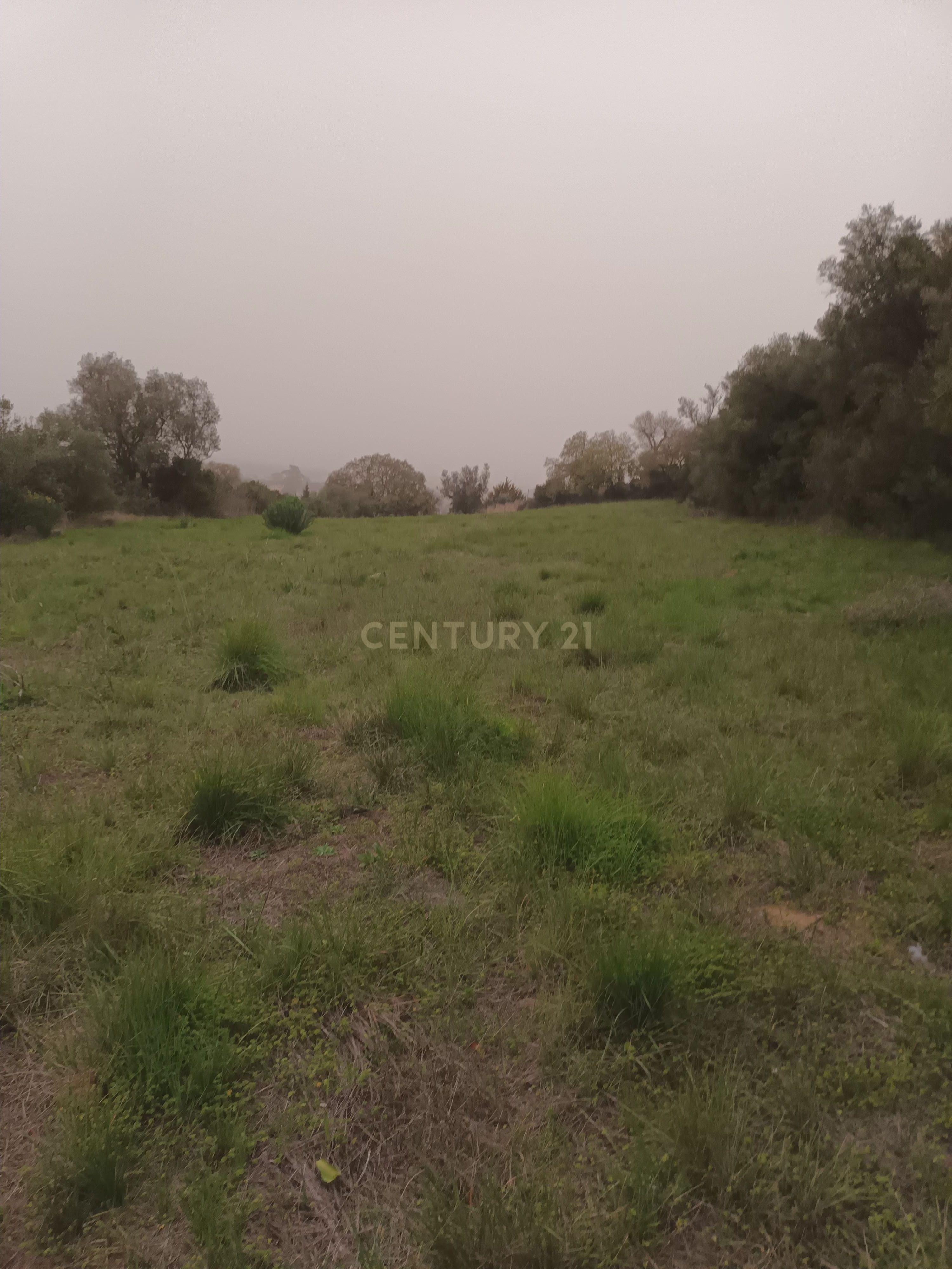Terreno Rústico com Vista Deslumbrante sobre a Serra da Arrábida — Quinta do Anjo, Palmela - Image 23