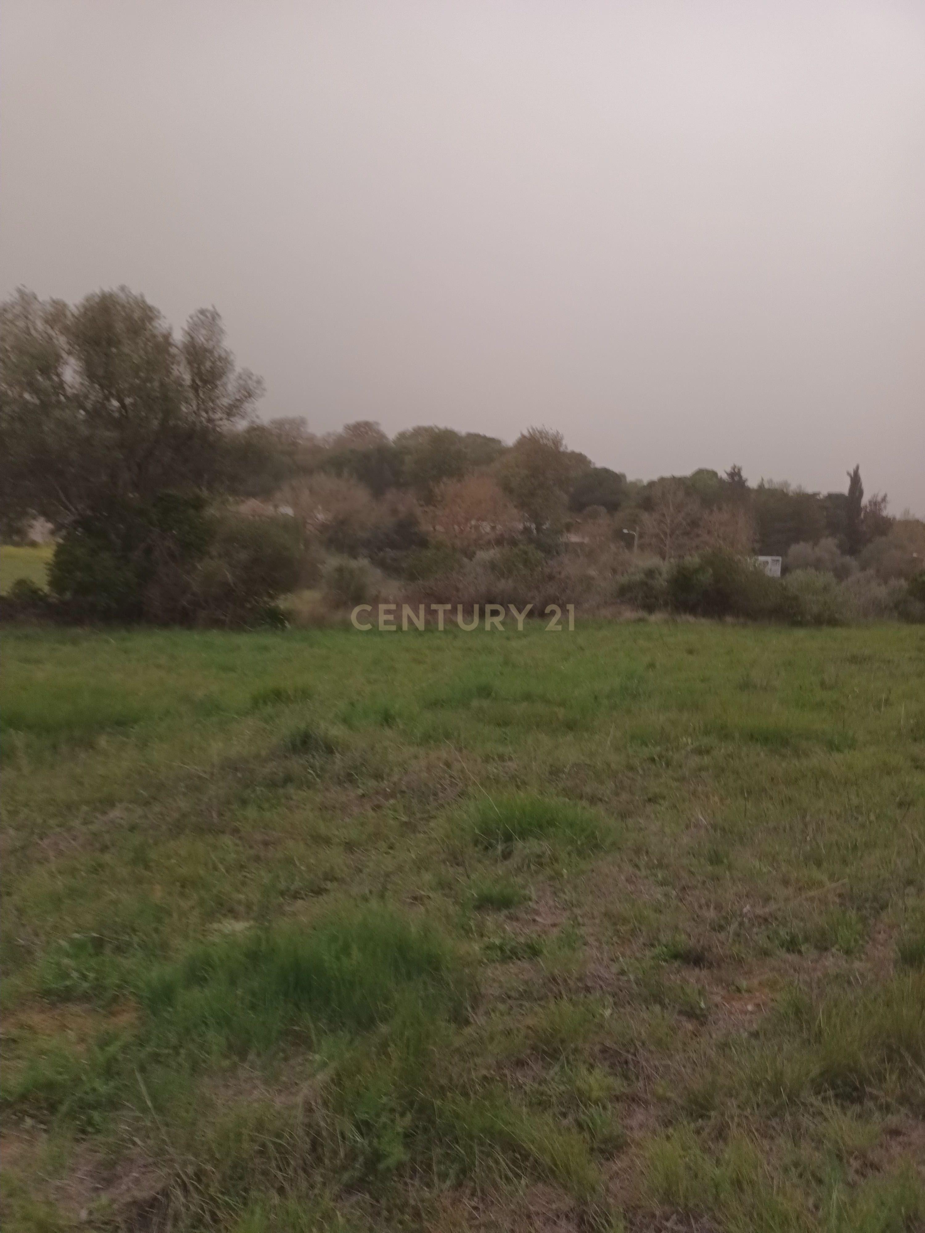 Terreno Rústico com Vista Deslumbrante sobre a Serra da Arrábida — Quinta do Anjo, Palmela - Image 8
