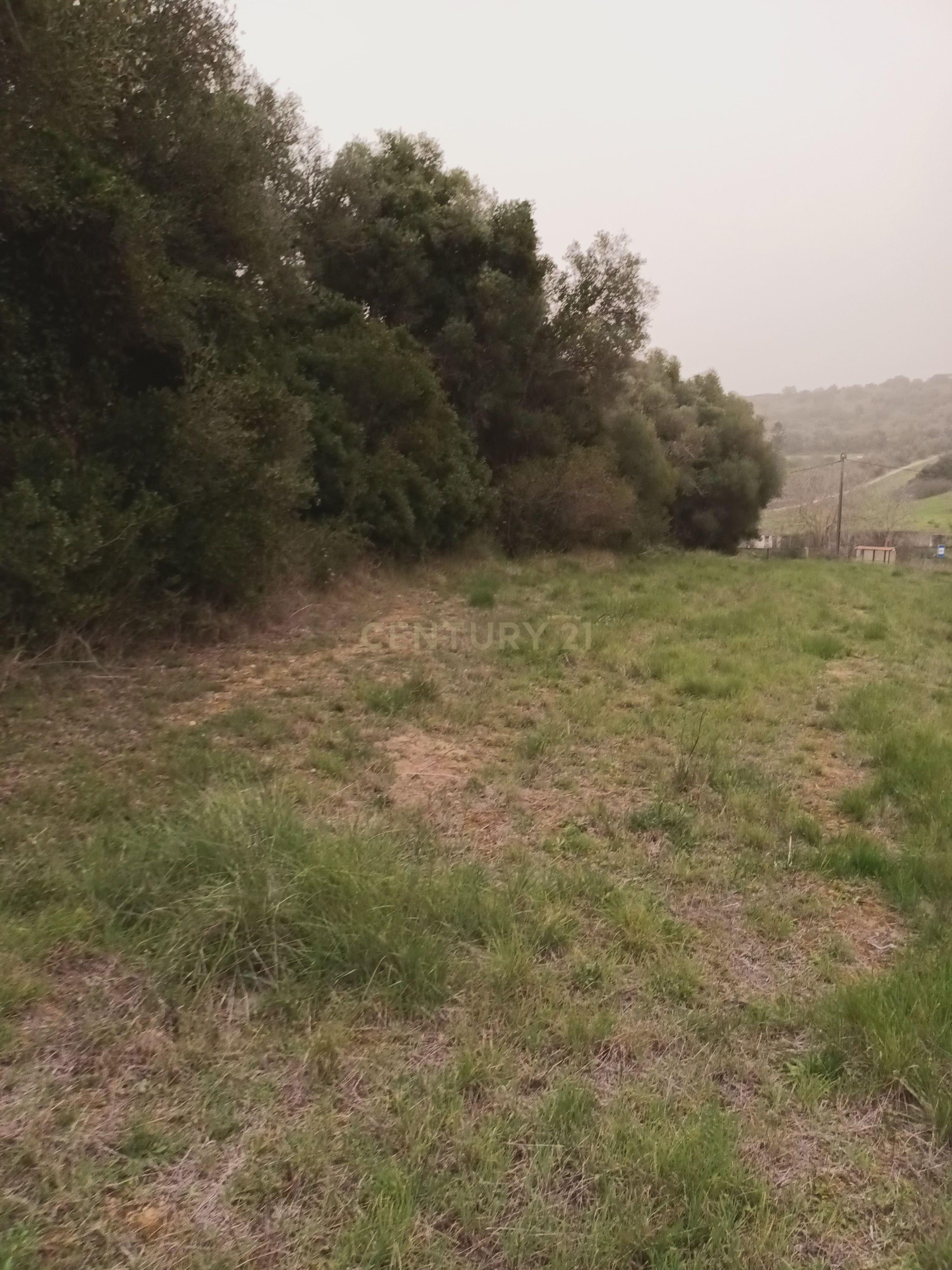 Terreno Rústico com Vista Deslumbrante sobre a Serra da Arrábida — Quinta do Anjo, Palmela - Image 21