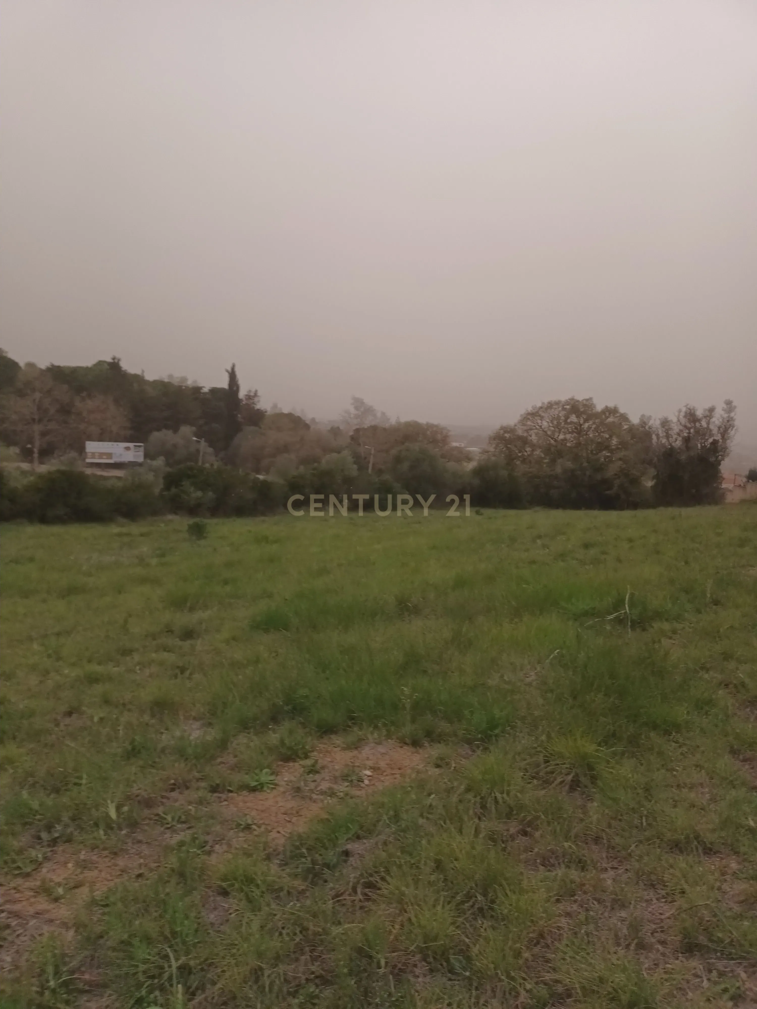 Terreno Rústico com Vista Deslumbrante sobre a Serra da Arrábida — Quinta do Anjo, Palmela - Image 12