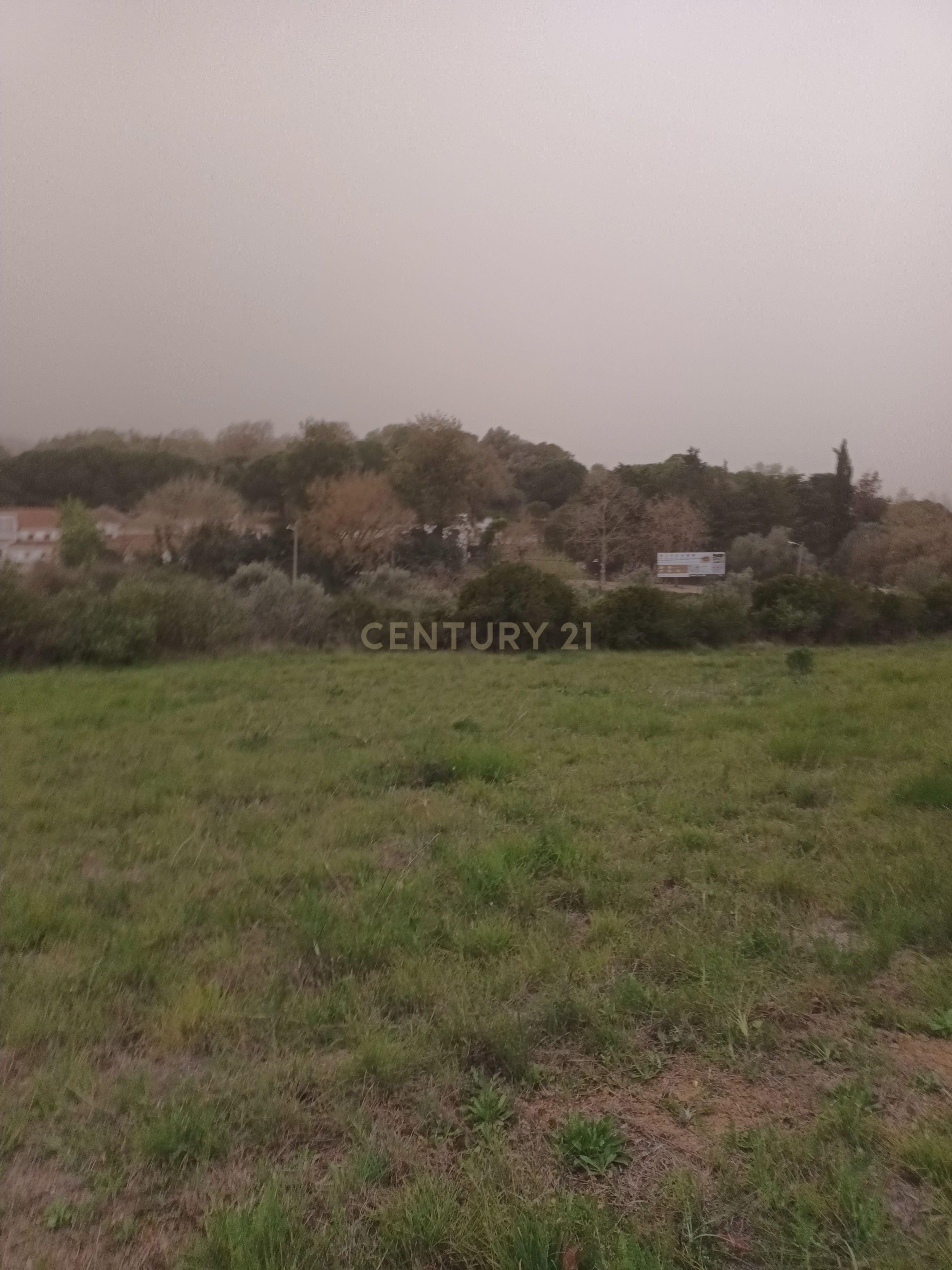 Terreno Rústico com Vista Deslumbrante sobre a Serra da Arrábida — Quinta do Anjo, Palmela - Image 13