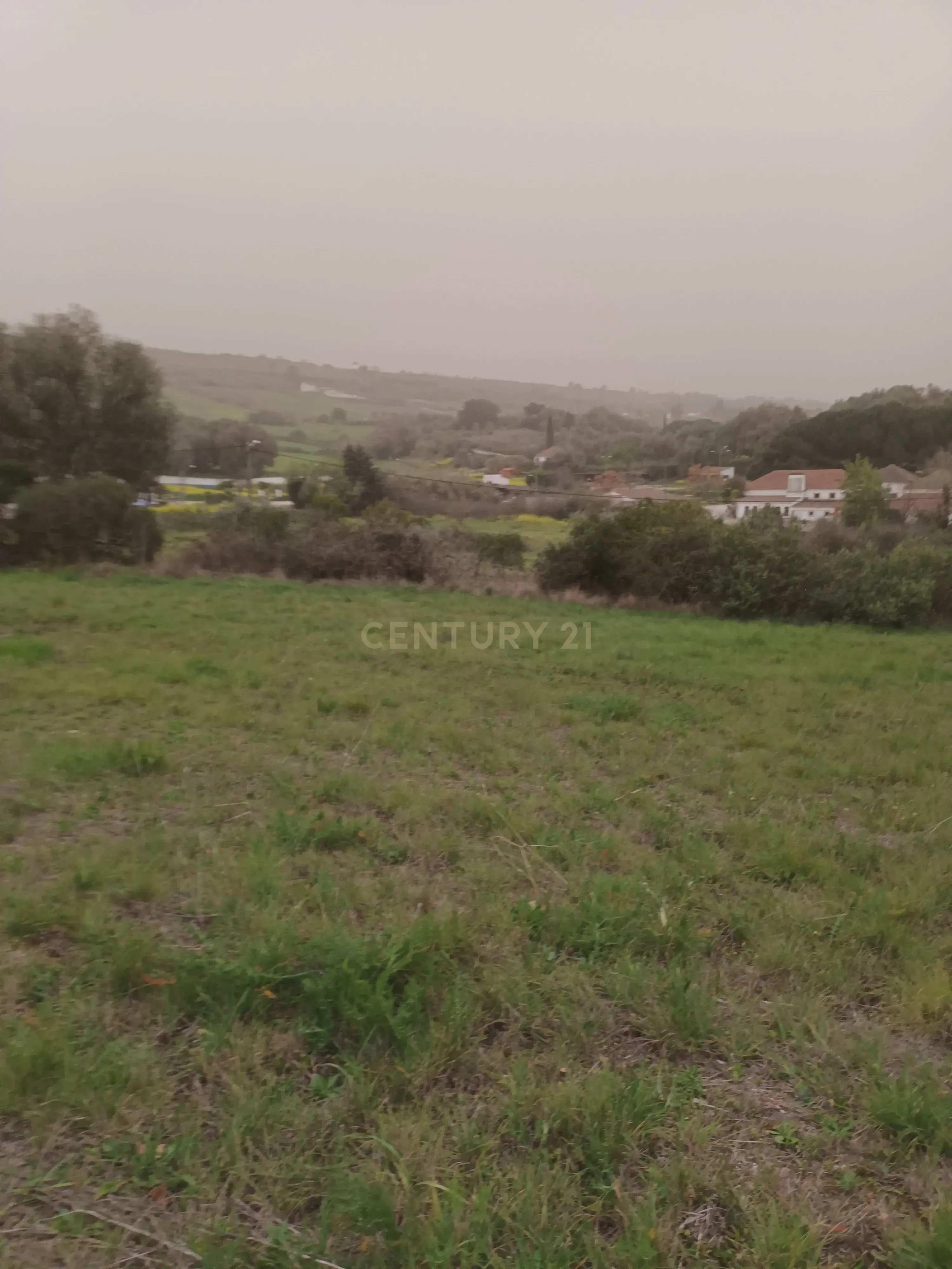 Terreno Rústico com Vista Deslumbrante sobre a Serra da Arrábida — Quinta do Anjo, Palmela - Image 5