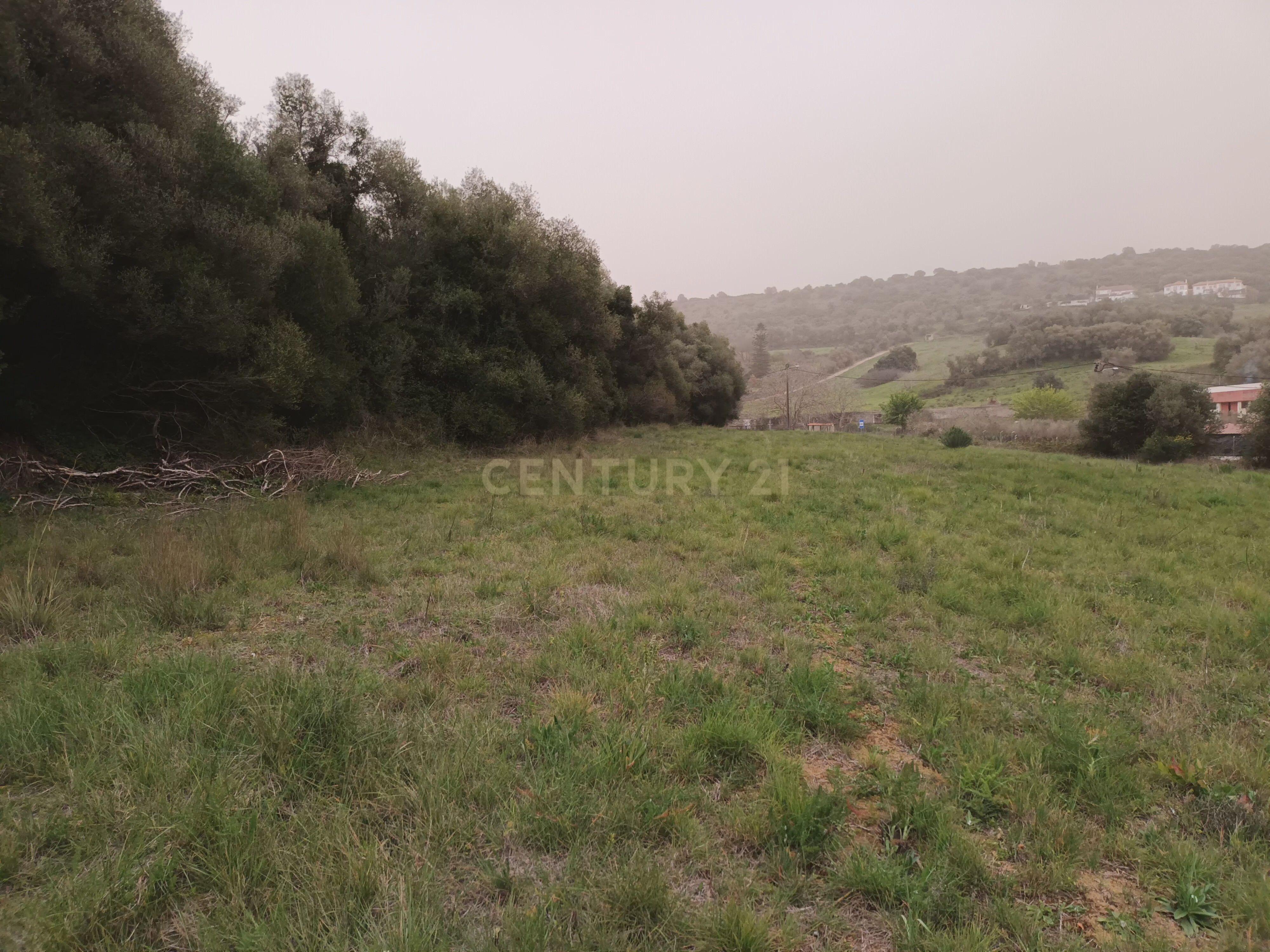 Terreno Rústico com Vista Deslumbrante sobre a Serra da Arrábida — Quinta do Anjo, Palmela - Image 15