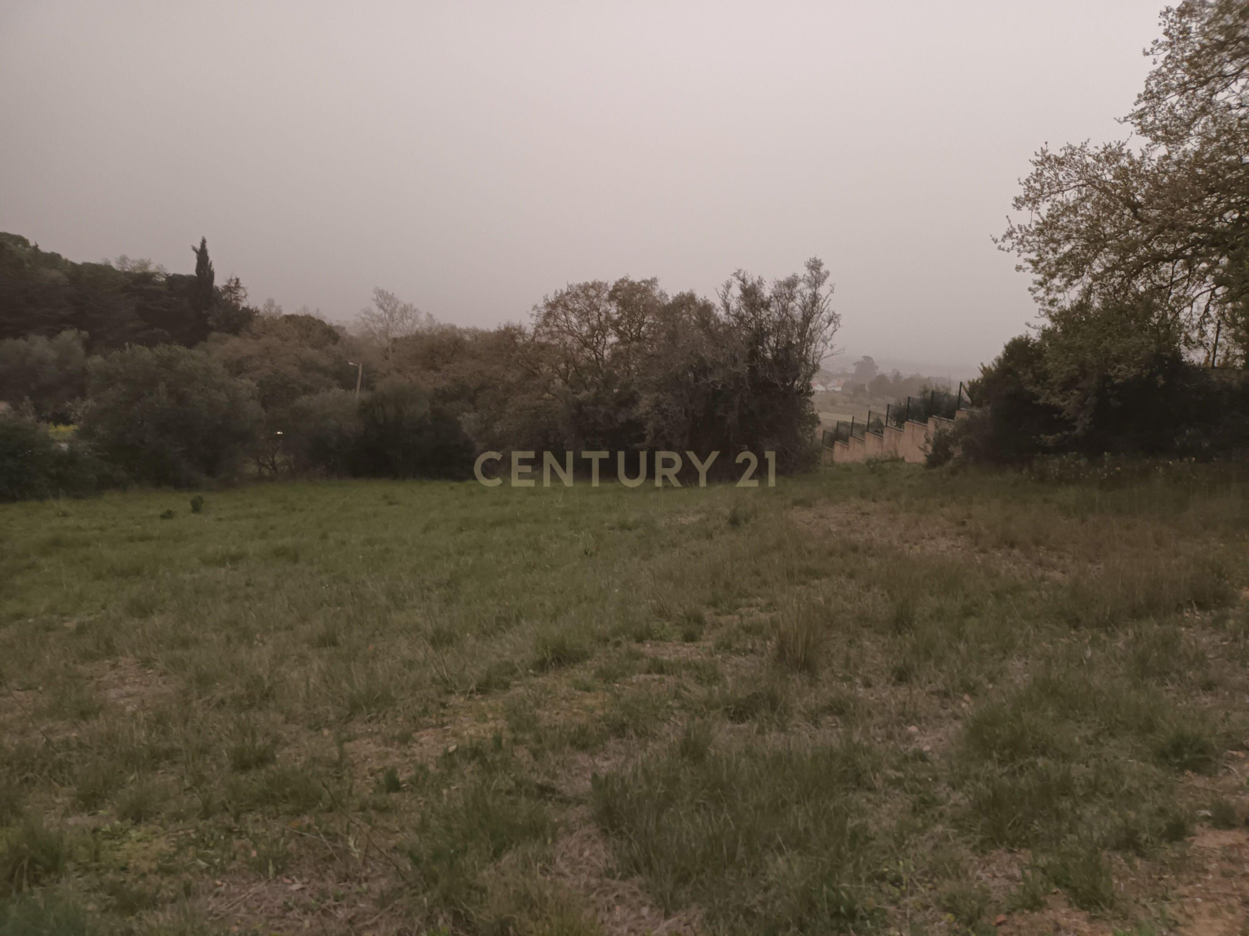 Terreno Rústico com Vista Deslumbrante sobre a Serra da Arrábida — Quinta do Anjo, Palmela - Image 17