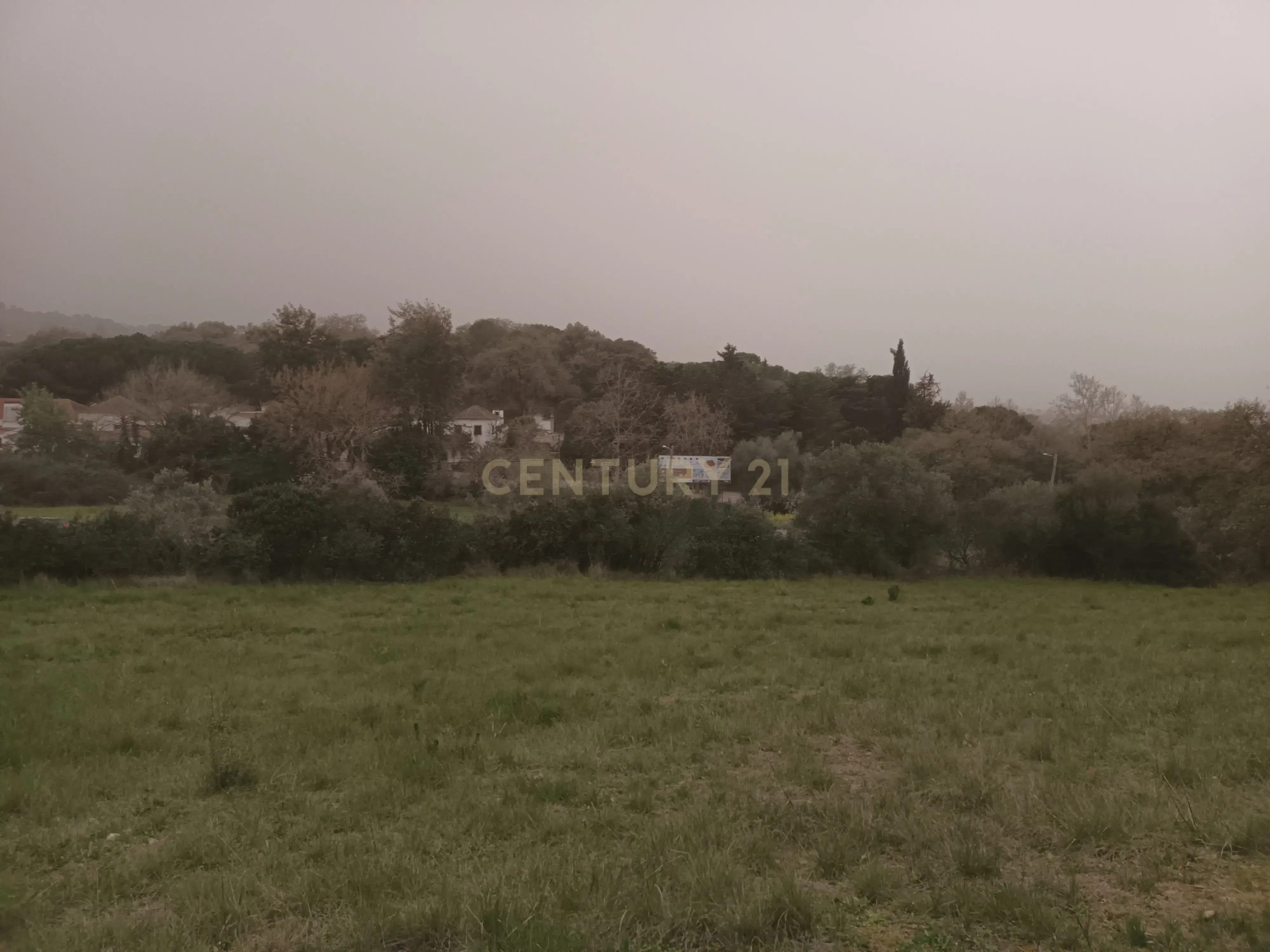 Terreno Rústico com Vista Deslumbrante sobre a Serra da Arrábida — Quinta do Anjo, Palmela - Image 18