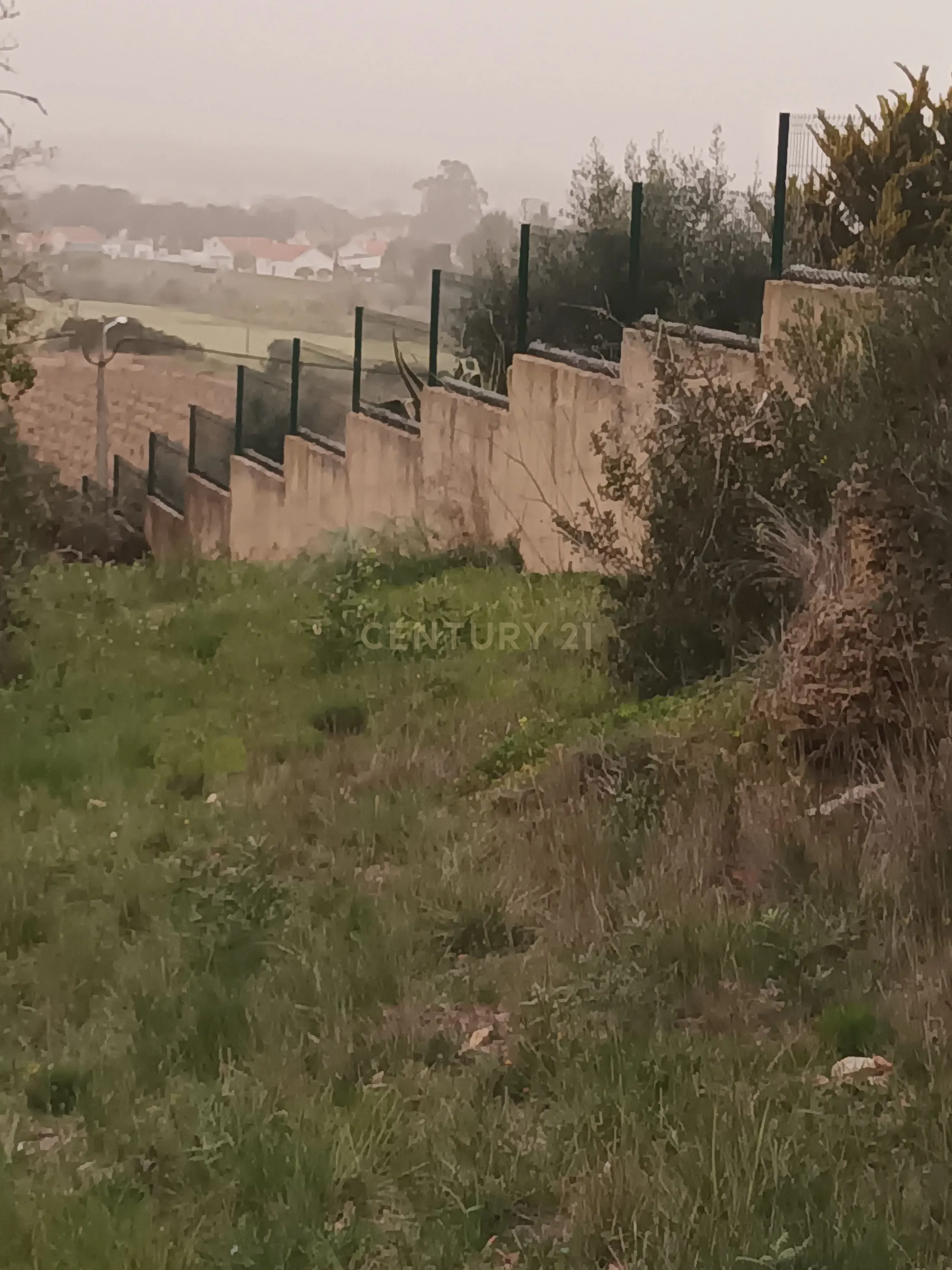 Terreno Rústico com Vista Deslumbrante sobre a Serra da Arrábida — Quinta do Anjo, Palmela - Image 19
