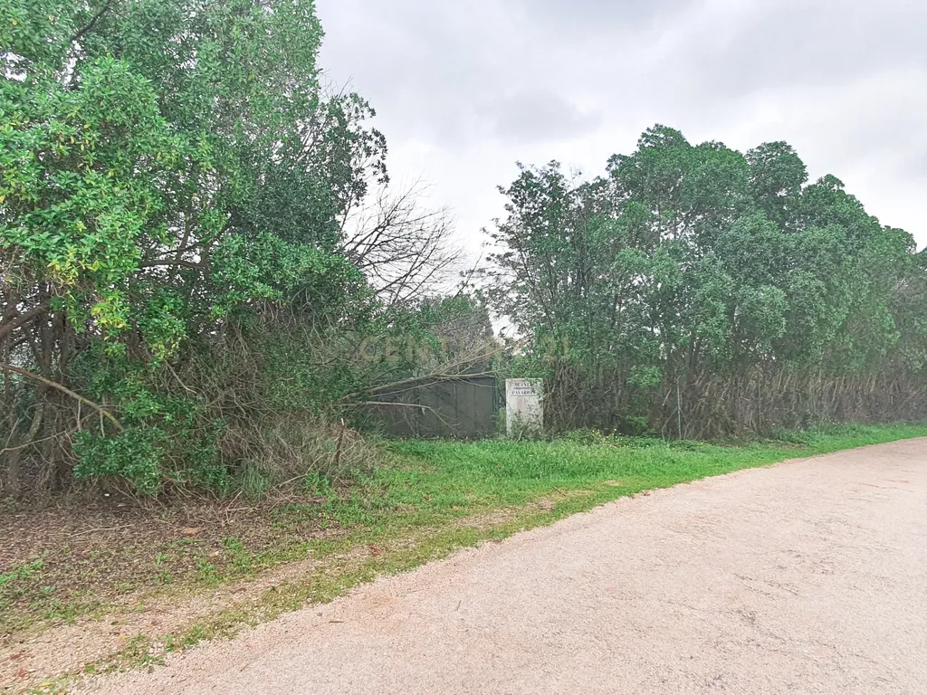 Terreno Construção | 2920 m2 | Foral | São Bartolomeu de Messines - Image 7