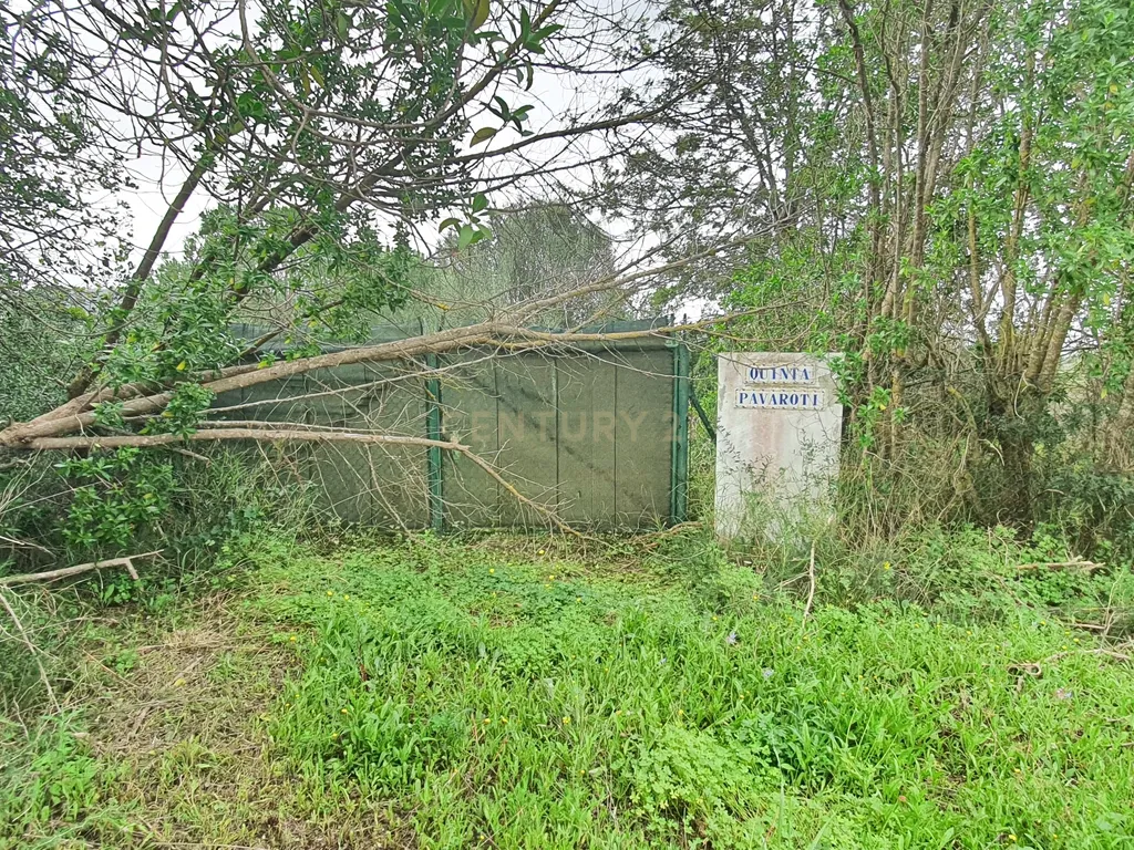 Terreno Construção | 2920 m2 | Foral | São Bartolomeu de Messines - Image 12