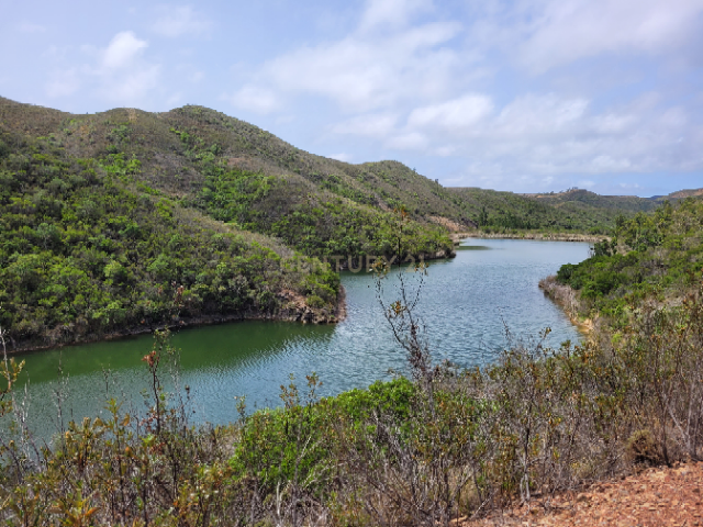 Herdade com 700 hectares para venda! - Image 2