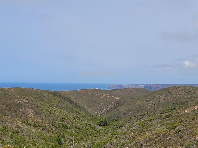Herdade com 700 hectares para venda! - Image 18